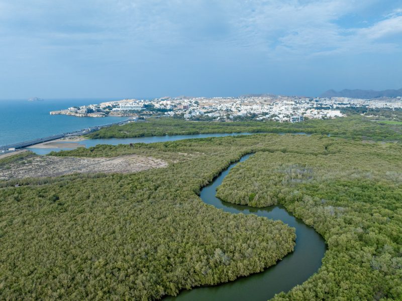 74 بالمائة من مؤشرات رؤية "عُمان 2040" تُحرز تقدمًا نحو تحقيق المستهدفات