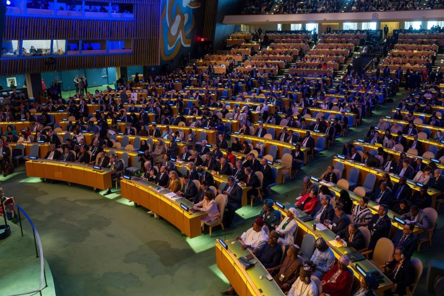 Oman at UN 80th anniversary celebration