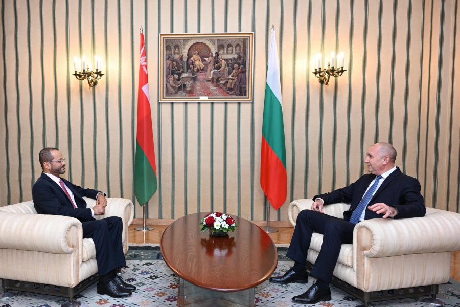 Bulgarian President receives Foreign Minister