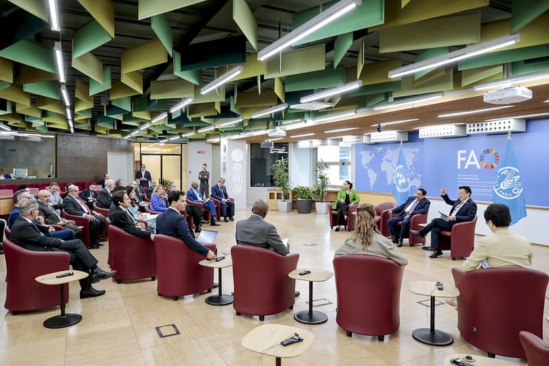 Italy: Head of Mission Discusses Situation in Palestine and Sudan in Meeting with FAO Director and Arab Ambassadors