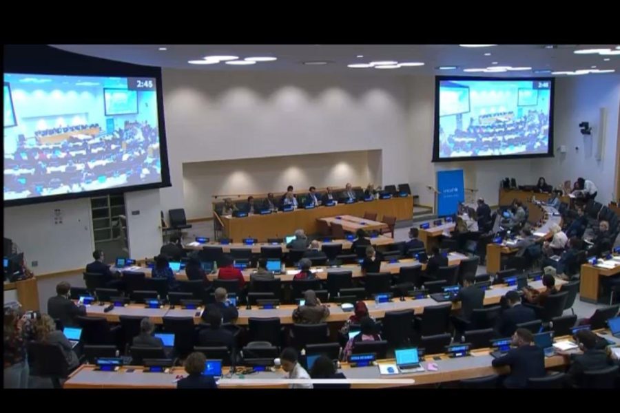 New York: Oman participates in UNICEF session